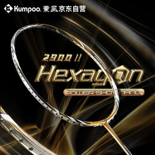 薰风（KUMPOO）羽毛球拍2900二代碳素纤维耐用全能型熏风球拍 金色（已穿线）