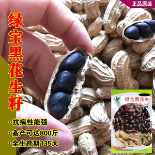 Black peanut seeds, sown in spring and summer, purple and black peanut seeds, black seed peanuts, original peanuts for field use, net weight in shell, 500 grams