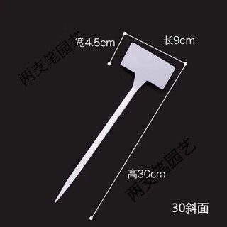 插牌大塑料园艺标签花卉植物插地标牌园艺定制标识牌一体60cm标签 30斜面30x9x4.5[10只] 白色