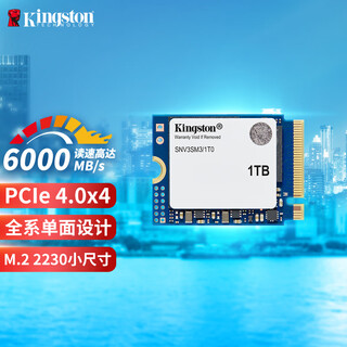 金士顿（Kingston）1TB SSD固态硬盘 2230 M.2(NVMe PCIe 4.0×4) NV3 适配SteamDeck/ROG ALLY掌上游戏机、笔记本