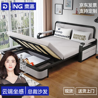 Naigao folding bed sofa bed dual-purpose small apartment multi-functional bed double bed retractable bed with cushion 1.5 meters