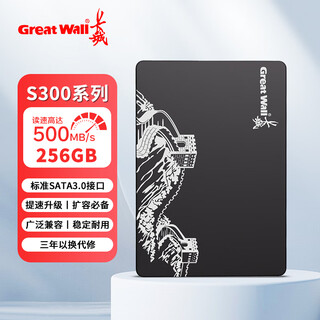 长城（Great Wall）SSD固态硬盘 SATA3.0接口 台式机笔记本电脑通用硬盘 S300系列 256GB SATA3.0固态硬盘