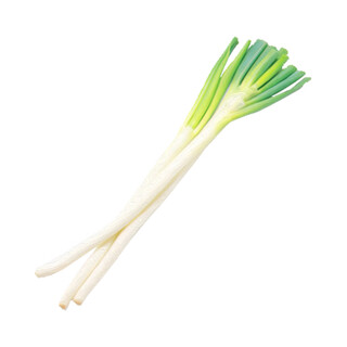 Farmer express green onions 500g
