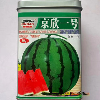 No. 1 no. 2 watermelon seeds, larval watermelon seeds, thin skin, early maturity, high temperature resistance hybrid generation, jingxin no. 1 canned 50g