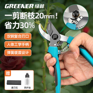 Green forest gardening scissors, fruit branch shears, garden pruners, branch pliers, household pruning scissors, fruit branch scissors lock design