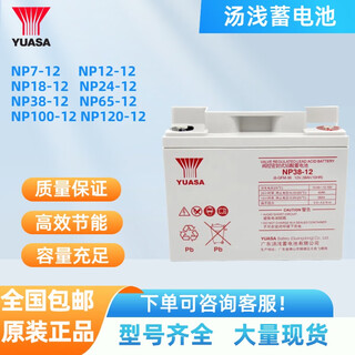 汤浅蓄电池12V100AH NP100-12阀控密封式铅酸消防EPS直流屏UPS 12V38AH