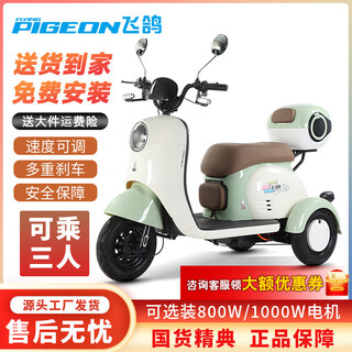 Feige electric tricycle for elderly people walking and leisure household small battery car for women new national standard electric tricycle v1 1000w72v24a black gold 6 batteries about 120 miles