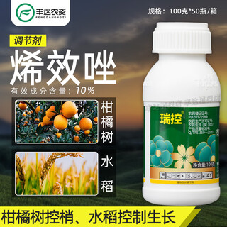 Thompson recon 10% uniconazole citrus tree control slightly promotes flowering rice control growth pesticide plant growth regulator 100g/bottle