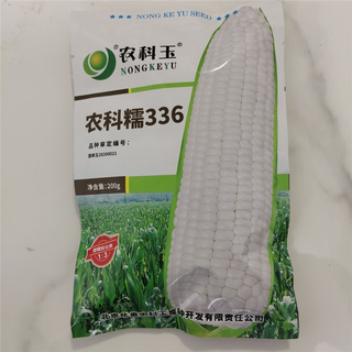 Nongkeyu nongkenuo 336 waxy corn seeds, high yield, early maturity, spring sowing, sweet and waxy, good taste, white waxy corn nongkenuo 336, original 200g, 2 bags