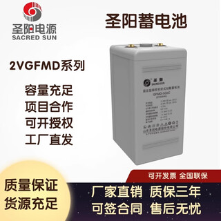 圣阳蓄电池GFMD系列2V200/300/400/500/1000AH直流屏船舶UPS/EPS GFMD-100C【2V100AH】