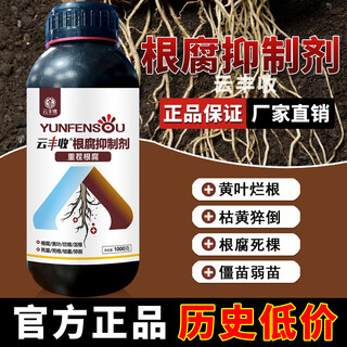 Yunfeng harvest root rot inhibitor root rot nemesis yellow leaf rot root damping-down dead tree stem base rot strong root activation soil factory direct sales 1 large bottle * 1000g + measuring cup + get 10% off if you get a fake one
