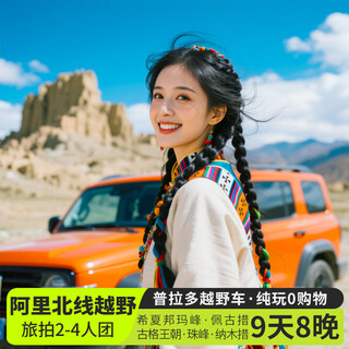 2-4 people cross-country group tibet ngari north line tour 9 days and 8 nights yanghu karola glacier mount everest shishapangma mount kailash qitso guge dynasty namtso 9-day group tour cross-country group of 4 people (car + accommodation) june 1st - august 20th adult