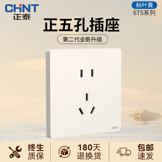 Chint (chnt) switch socket panel type 86 concealed household five-hole socket whole house package frameless large board network socket wall panel new6ts autumn leaf yellow positive five-hole socket
