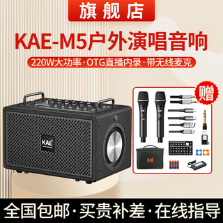 Kaem5 musical instrument singing audio guitar electric blowpipe saxophone outdoor karaoke road show live broadcast high-power bluetooth speaker m5 classic black rated 220w