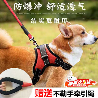 Oimg dog rope traction rope harness for medium-sized dogs, anti-explosion, anti-bite dog collar, special reflective non-retractable dog leash, m size (20-40jin jin equals 0.5kg) (red and black chest harness + 2m reflective round rope)