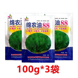 四川油菜种子矮杆油菜籽一等品铁杆耐寒抗病油菜新品批发 (100g*3)绵农油88(移植可种3亩地