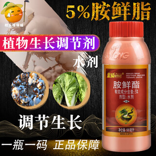 Golden phytolonium fresh ester expands, colors, increases yield, resists cold and stress, preserves flowers and fruits, and dyes amine fresh fat pesticide growth regulator 10l