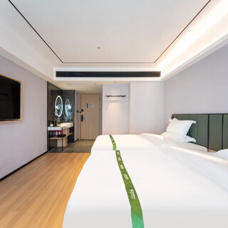 Business twin room (smart guest control + projection screen tv)