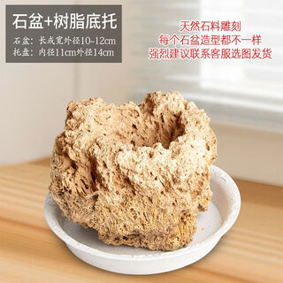 Absorbent stone flower pot, natural strange stone, absorbent stone, water-absorbing stone, raw stone stone pot, calamus succulent potted plant, bonsai micro-scape, 10-12cm stone pot + round base + grass seeds