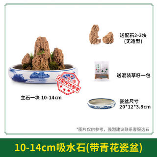 Water-absorbing stone, natural water-absorbing stone, bonsai original stone, water-absorbing stone, rockery stone, flowing water fountain, fish tank stone, landscaping stone, buy stone + pot (free grass seeds with stone) 10-14cm water-absorbing stone