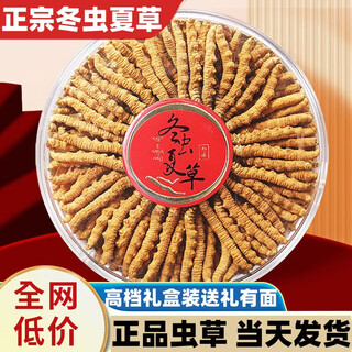 冬虫夏草 高海拔正宗野外生长 自用实惠送礼礼盒装 50根礼盒装（2根/克）