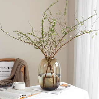 Muding big belly brown glass art vase light luxury style transparent simple high-end decorative birthday gift