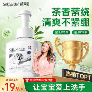 Vegetable garden foaming hand sanitizer for children moisturizing and moisturizing cleaning liquid press 500ml