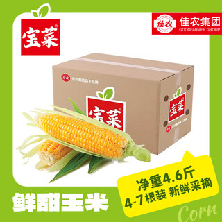 Good farmer baocai shandong fresh fruit corn single root 275g + fresh, sweet and juicy 4-7 roots net weight 4.6 jin jin equals 0.5 kg straight from the source