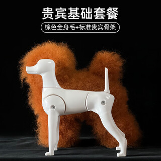 Rui chong poodle fake hair, simulated hair, pet grooming practice model dog skeleton, model dog full body fake hair, vip package, brown hair + vip skeleton