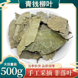 Beijing tongrentang qingqian liuye chinese medicinal wild pure ancient tree qingqian liu tea qingqian liu 500g qingqian liu tea qingqian liu qingqian liu 500g