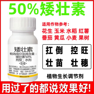 Chlormequat control growth drug dwarf green zhuang control vigorous growth and shrinkage of peanuts, corn, rice and sweet potato crops for agricultural use 500g/1 bottle
