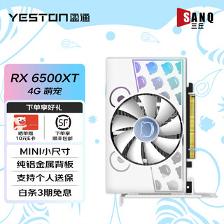 Yeston amd radeon rx 6500 xt 4g d6 e-sports live video game independent graphics card rx6500xt cute pet