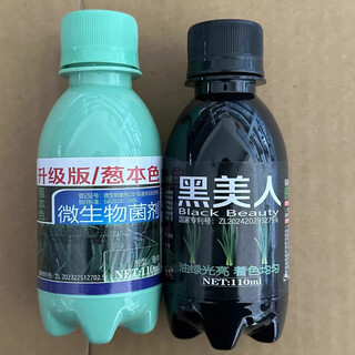Onion true color chives and garlic seedlings increase production and increase income disease resistant microorganisms color special black beauty onion true color set combination onion true color 110g 1 bottle + black beauty 110g 1 bottle
