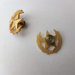 Stage performance olive branch collar accessories performance costume decorations pine leaf collar pin screw collar flower outdoor golden small round collar flower pair