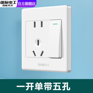 国际电工86型白色暗装单控开关插座面板家用一开单双控五孔灯开关 一开单控五孔