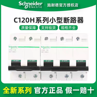 施耐德C120系列大电流微型断路器 C120H 2P C 80A（A9N19809