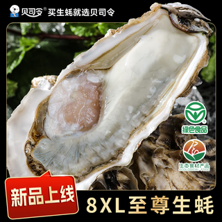 Bassling fresh rushan ecological oysters 8xl net weight 9jin jin is equal to 0.5kg 8-11 pieces straight from the source