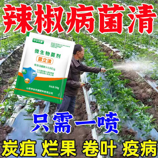 Zhonggu nongkang (zgnk) pepper special fungicide, agricultural disinfection and sterilization virus, anthrax disease, rolled leaf dead seedlings, rotten roots and rot fungicides, pepper pathogen clearer 2 bags, disease resistance and yield increase