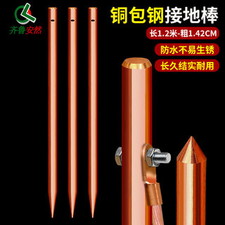 齐鲁安然 铜包钢接地棒 接地针避雷针接地线配件防雷铜覆钢电解离子接地极室外地线接地装置接地针 1.2米铜包钢接地针-粗14.2毫米（不含线）