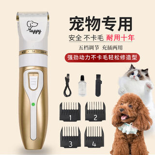 High-power pet electric clipper, dog shaver, cat teddy grooming clipper, shaving feet, champagne gold daily set, high-power, non-stuck hair clipper