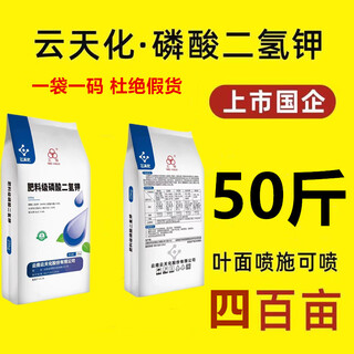 Yuntianhua potassium dihydrogen phosphate high purity 99 foliar fertilizer agricultural potassium dihydrogen phosphate phosphorus potassium fertilizer water-soluble fertilizer potassium fertilizer sn5040 yuntianhua premium product 50jin jin is equal to 0.5 kg, a whole bag