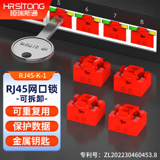 Hengrui stone rj45 network port lock removable sealing plug anti-dust plug network port security lock protects data red 10 locks + 1 key