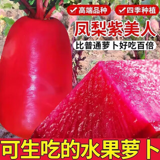 Qili pineapple fruit radish seeds purple beauty radish seeds red heart red skin farm fresh vegetable seeds in autumn and winter seasons pineapple fruit radish seeds 300 capsules/1 pack + fertilizer