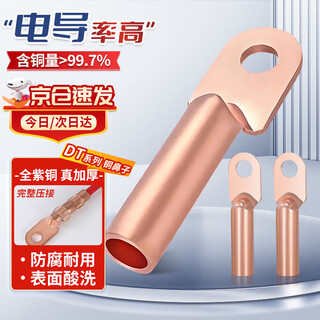 Cast solid copper nose wire nose 25 square dt cold-pressed terminal block copper wire lug wiring cable lug dt-25mm