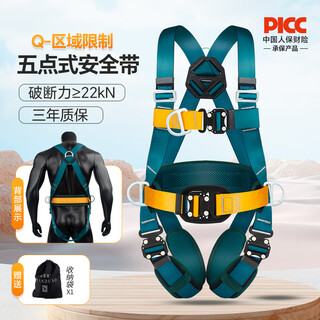 Shanduao full body five-point safety belt aerial work safety rope set national standard safety belt full set ad9105 individual safety belt