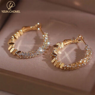 Yizun. chomel broken silver zircon earrings 2025 new hot style niche light luxury high-end earrings for round faces temperament earrings for women broken silver zircon earrings silver needles