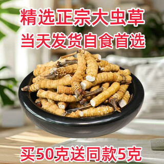 虫草断草冬虫夏草断草断虫草10克送1克营养滋补品保健品泡酒料药 藏区精品大断草50克送5克