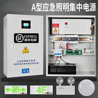 Type a emergency lighting centralized power supply dc36v controller 24v lamp device eps host fire distribution box wall-mounted industrial grade host