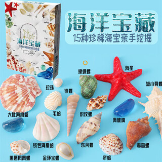 Tolex ocean treasures cultural and creative blind box children's digging toys beach natural shells conch starfish little girl digging for gems gift box ocean treasures (15 rare ocean treasures)