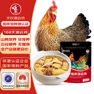 Tiannong slow-raised purebred qingyuan chicken, net weight 2jin jin is equal to 0.5kg, hong kong free-range chicken, native chicken whole chicken frozen, ecological free-range chicken for 168 days